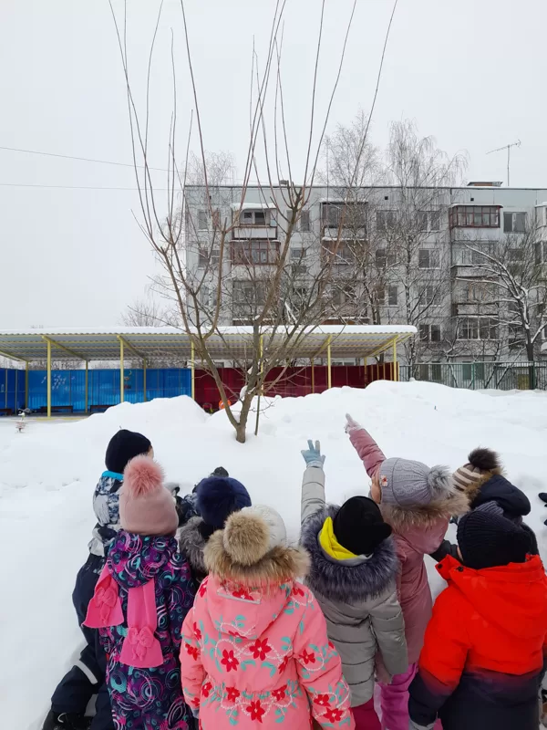 зимой на участке группы